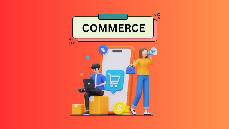 Class 11 - COMMERCE
